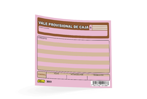 Vale provisional de caja